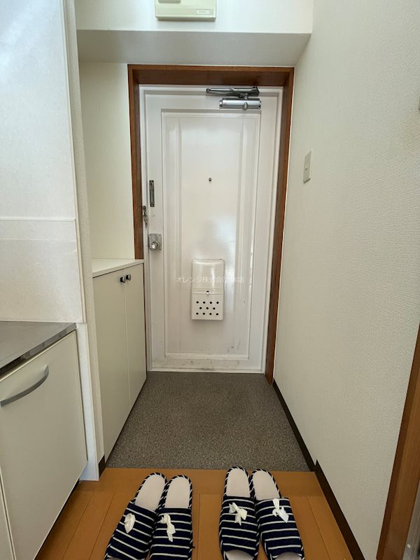 メゾン中央 玄関