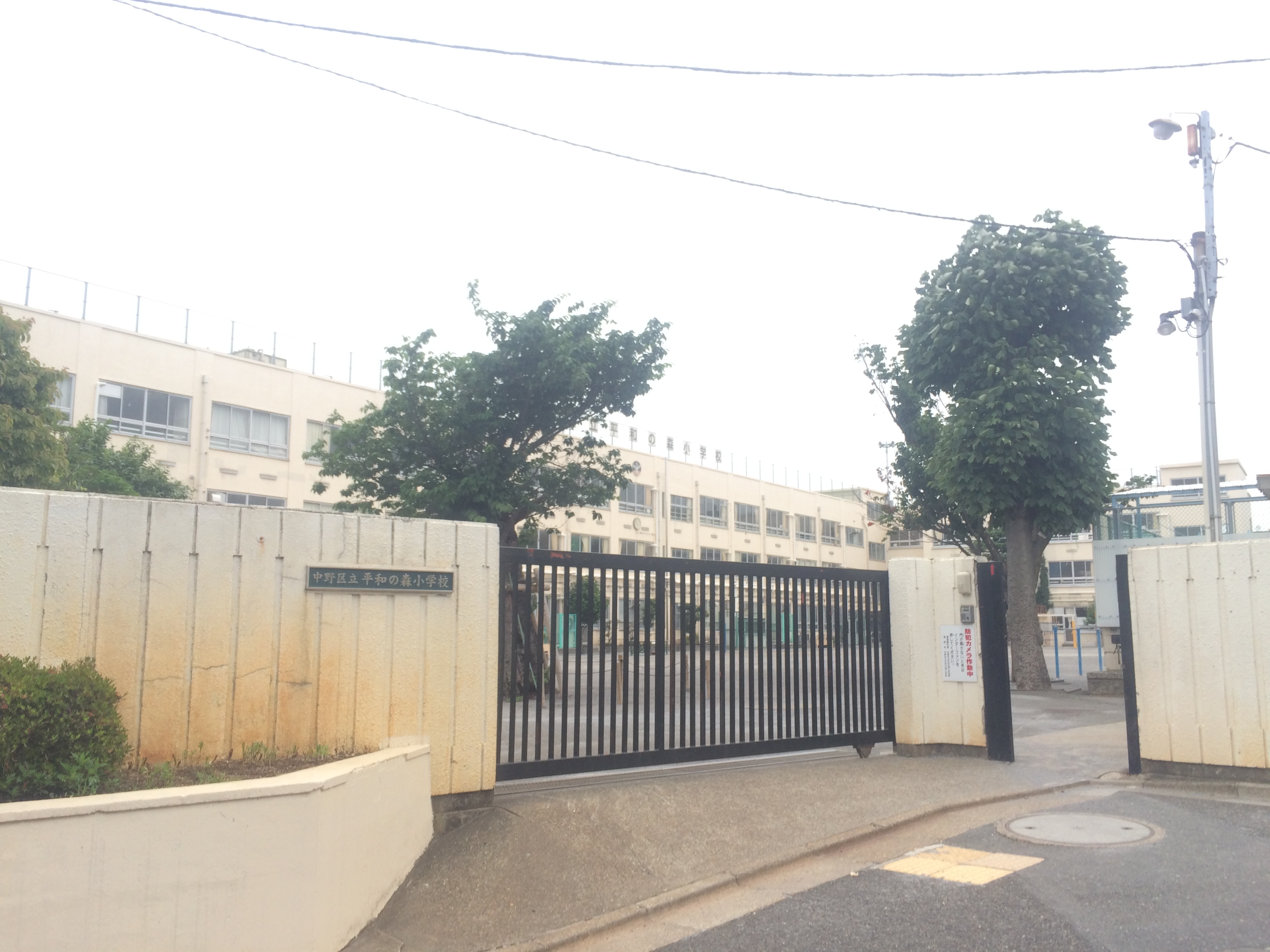 ブランドール1 小学校