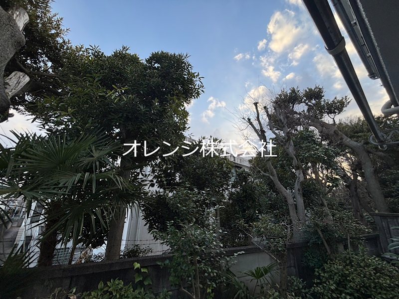 圭ハウス 眺望