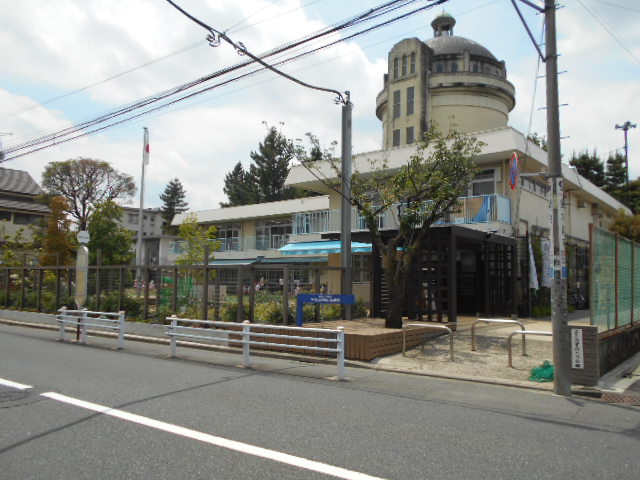 エコフォレスト 幼稚園
