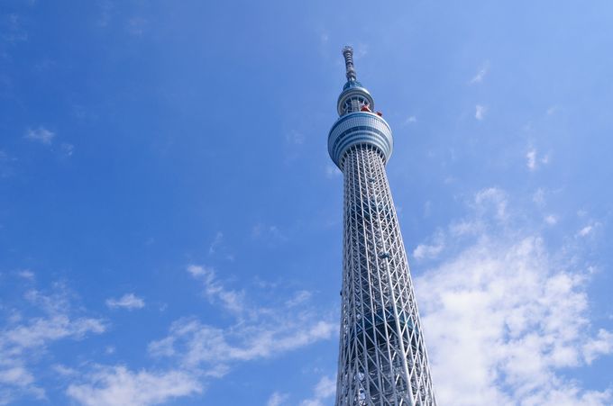 ヴィスタハウス ランドマーク