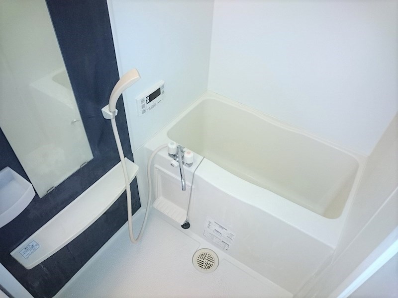 ヴェルデ吉祥寺 風呂画像