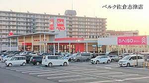 ユーカリノーザンフラット スーパー