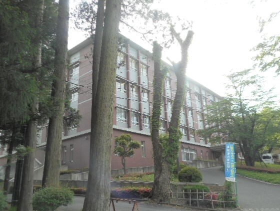ウイステリアⅡ　Ａ その他