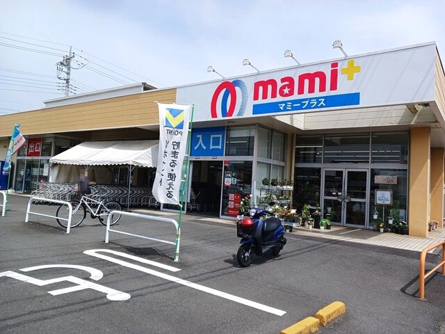 エルア　カパルＡ その他