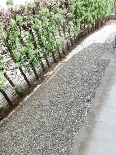 ヒルサイドメゾンA棟  その他7