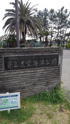 辻堂海岸団地　１号棟 公園