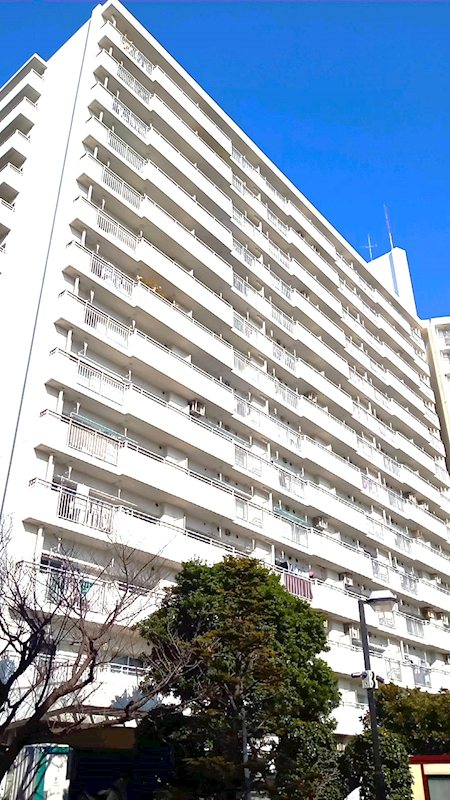 シティコープ清新　15号棟 外観