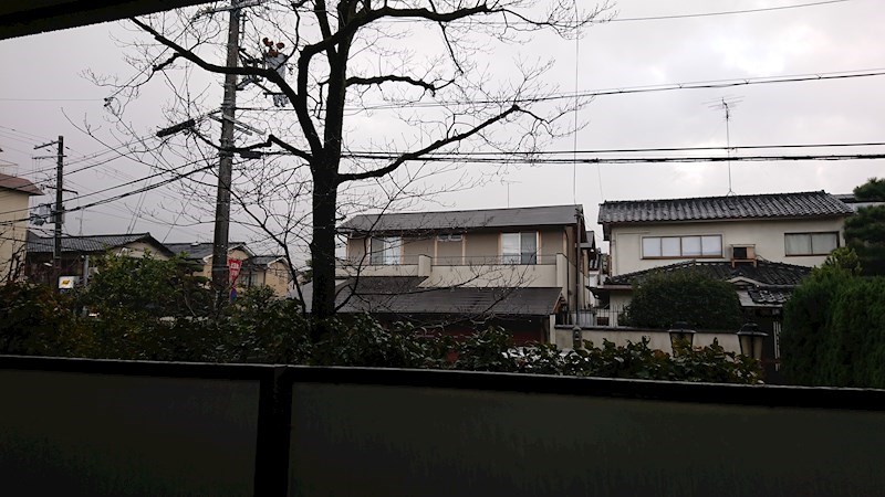 その他11