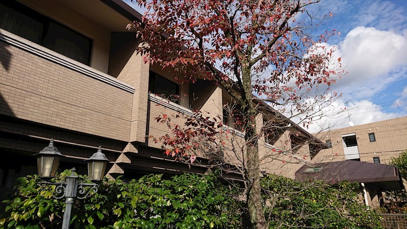 白川楽舎 その他外観6