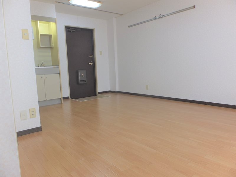豊田コーポラス 玄関