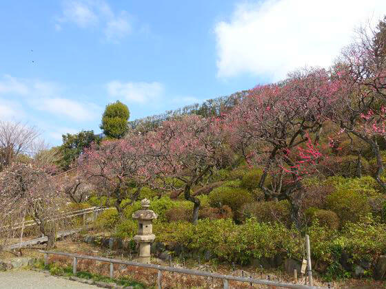 ボンドヴィレッジ目白　  周辺画像6