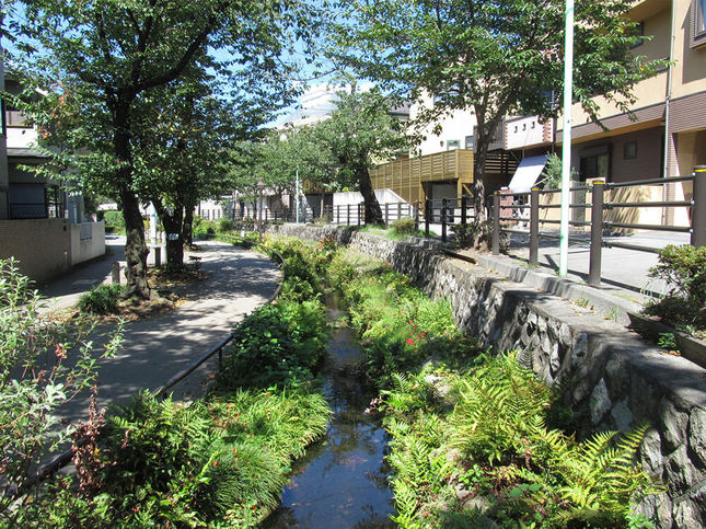 レグルス下北沢  周辺画像3