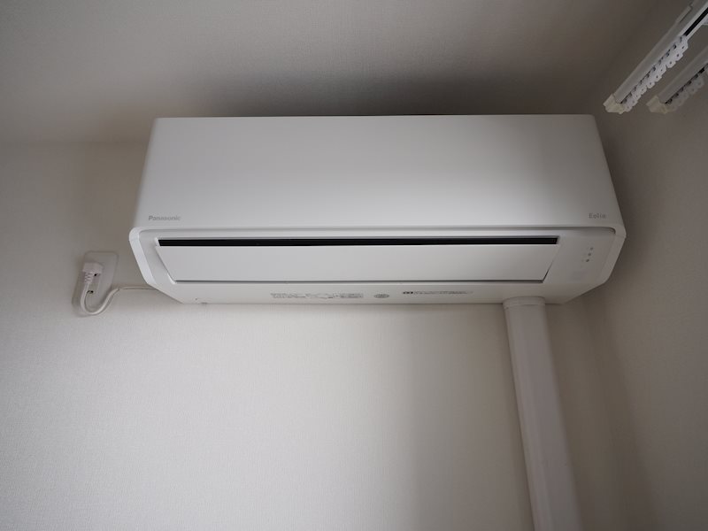 PERCHPLUM その他1