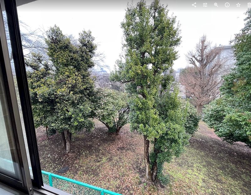 緑が丘1丁目戸建て（Ｆ邸） その他4