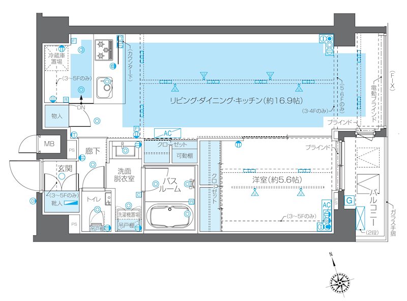 ZOOM広尾 503号室 間取り