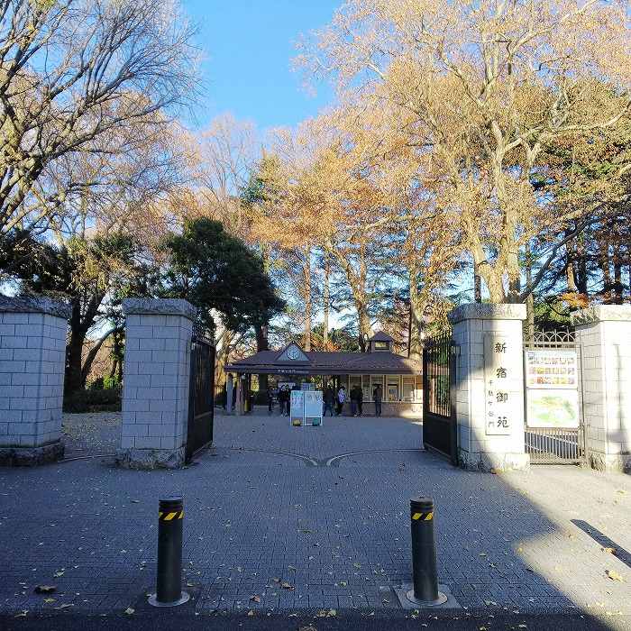グランドコンシェルジュ千駄ヶ谷 周辺画像5