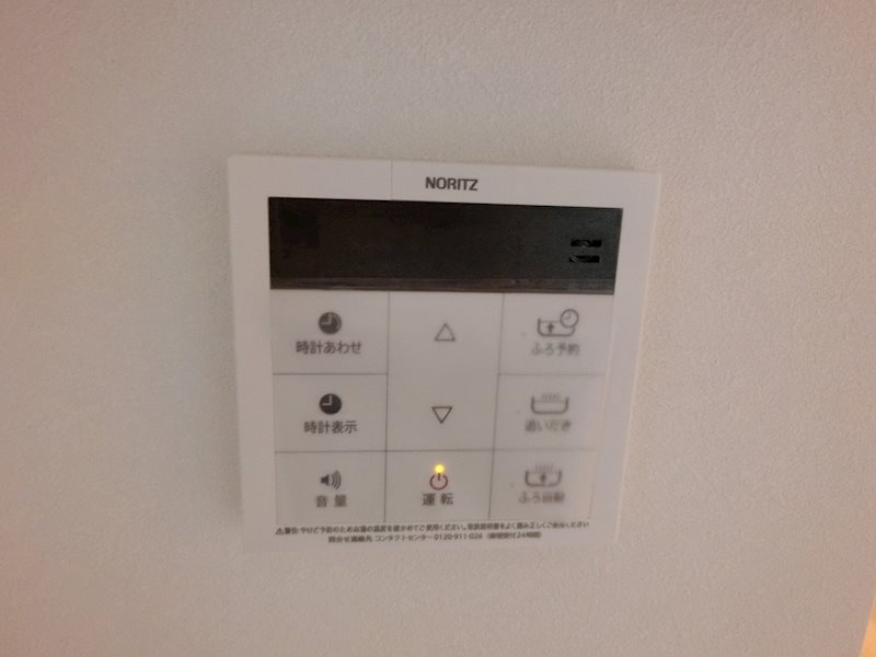 サラスヴァティー その他8