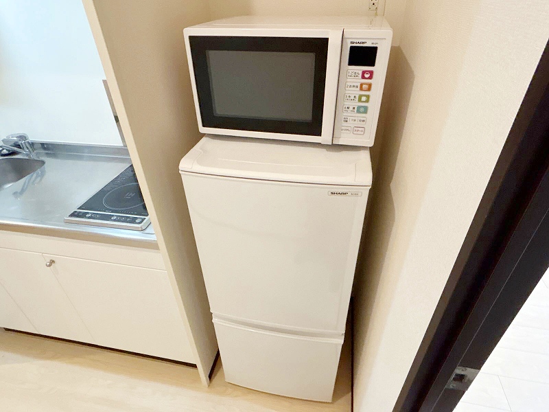 レオネクストカサ　フェリス その他13