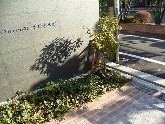 フェニックス本郷東大前 その他1