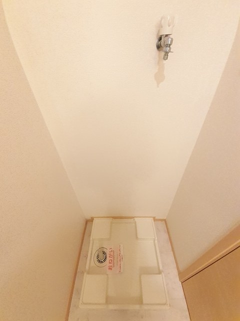 マグノリア その他5