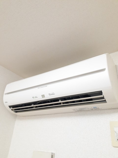 マグノリア その他6