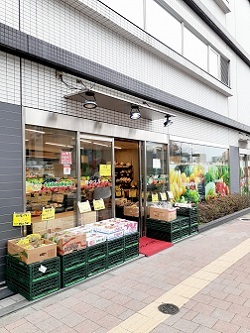 モーリス　Ｍ・Ｋ その他外観2