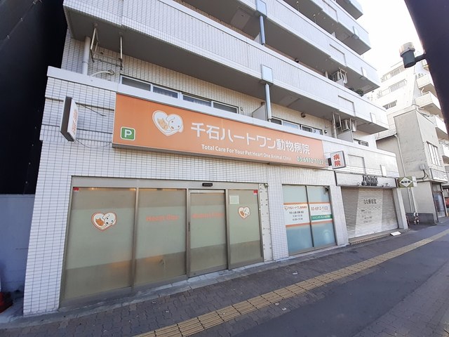 リュシオル その他外観6