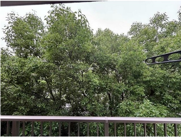 リベール弥生 その他4