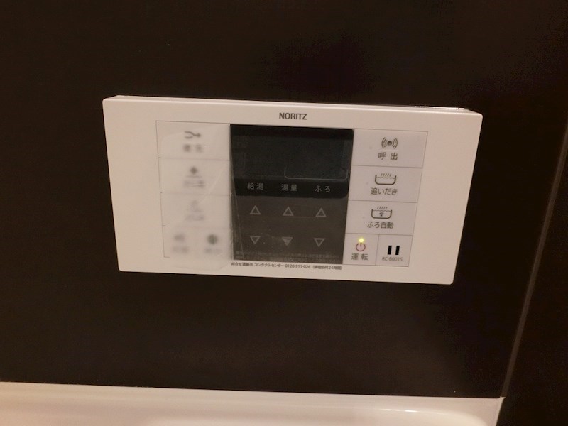 サラスヴァティー その他9