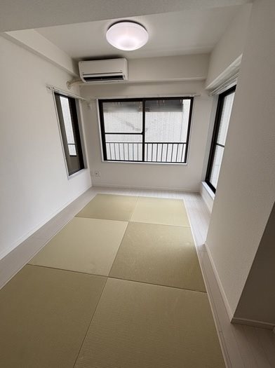 テラス・レイクマウント 玄関