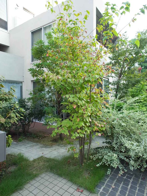 KAMIUMA PLACE その他外観2
