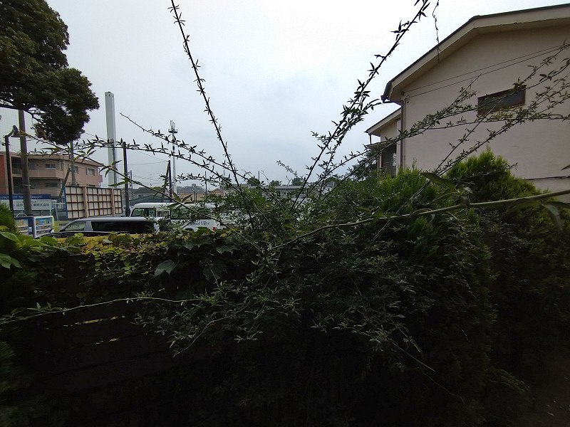 レオパレスＤＥＡＲＥＳＴ その他9