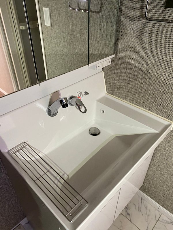 ヴィレッタ菊 その他1