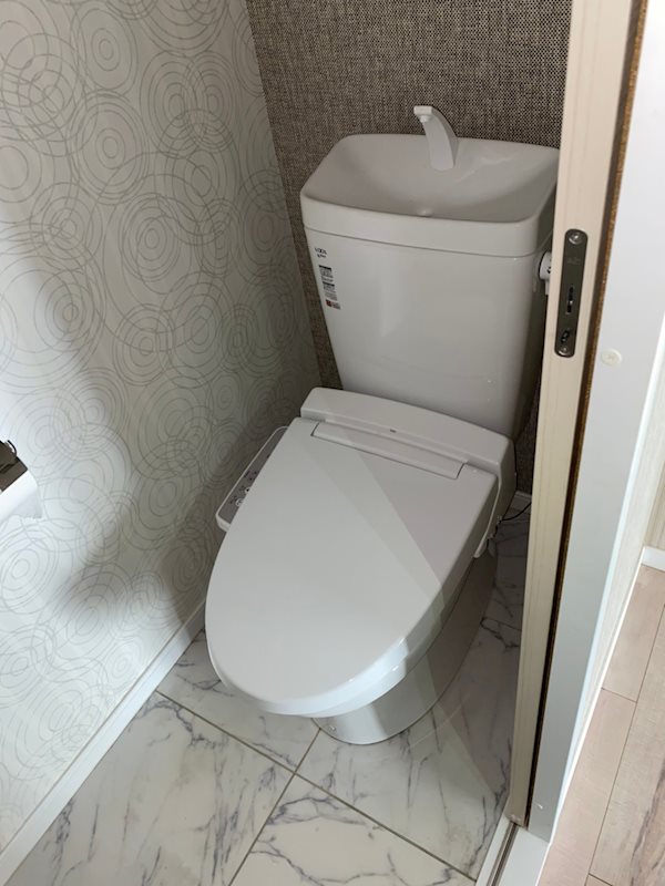 ヴィレッタ菊 その他2