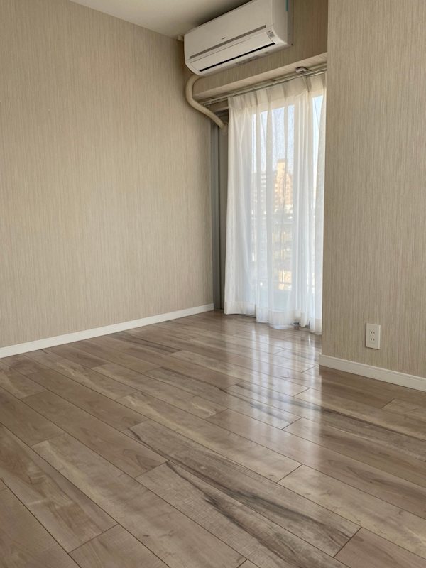 ヴィレッタ菊 その他7