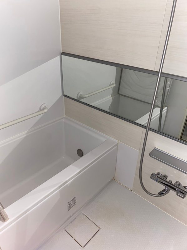 ヴィレッタ菊 風呂画像