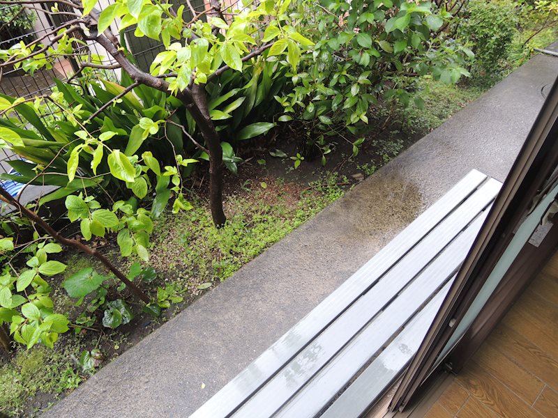 ファミーユ田園 その他1