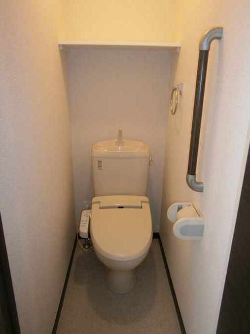 レオネクストライクヒストリー その他8