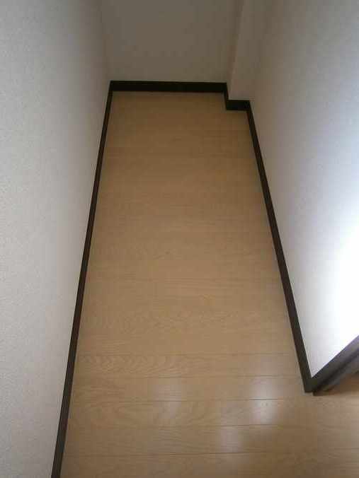 レオネクストライクヒストリー その他12