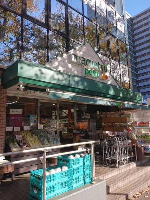 アドニスター・西大井 その他外観6