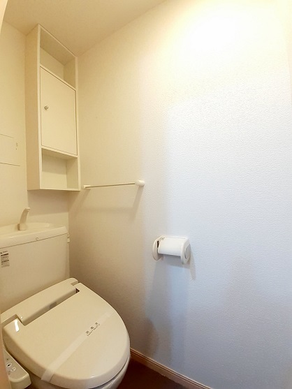 エバーグリーン その他4