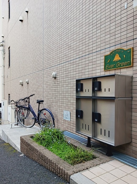 エバーグリーン その他5