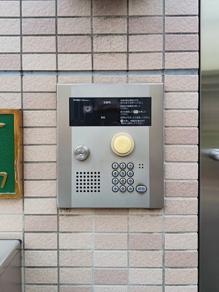 エバーグリーン その他6