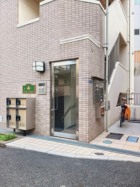 エバーグリーン その他7