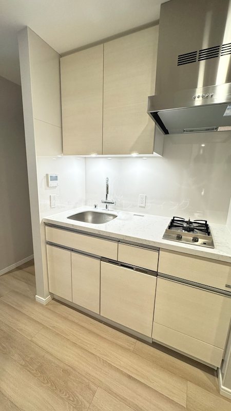 麻布台ﾋﾙｽﾞﾚｼﾞﾃﾞﾝｽB その他6