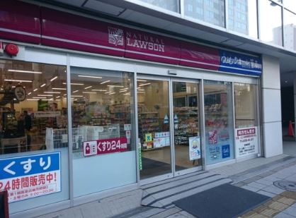 スペリオール白金台 周辺画像2