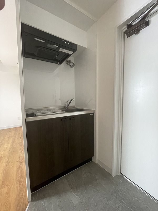 ダイネス壱番館渋谷 玄関