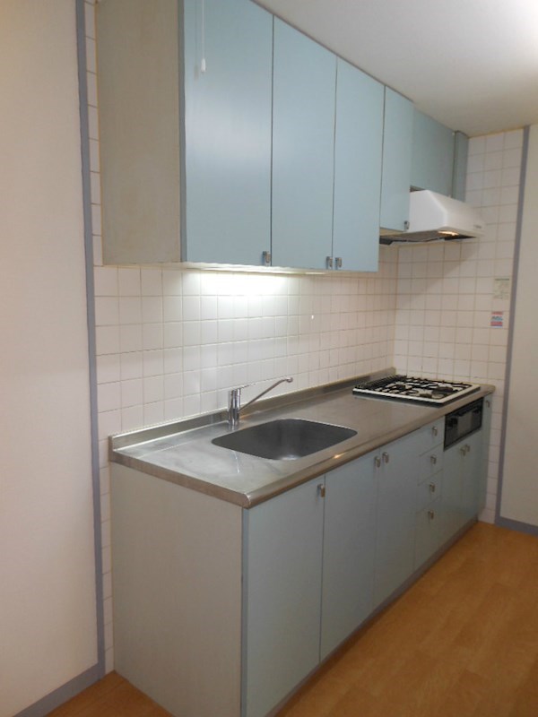 ソフィア代田 キッチン