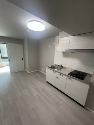 ＮＥＸＡＳ ＥＢＡＲＡ キッチン